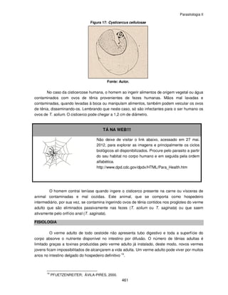 Parasitologia II
461
Figura 17: Cysticercus cellulosae
Fonte: Autor.
No caso da cisticercose humana, o homem ao ingerir alimentos de origem vegetal ou água
contaminados com ovos de tênia provenientes de fezes humanas. Mãos mal lavadas e
contaminadas, quando levadas à boca ou manipulam alimentos, também podem veicular os ovos
de tênia, disseminando-os. Lembrando que neste caso, só são infectantes para o ser humano os
ovos de T. solium. O cisticerco pode chegar a 1,2 cm de diâmetro.
TÁ NA WEB!!!
Não deixe de visitar o link abaixo, acessado em 27 mai.
2012, para explorar as imagens e principalmente os ciclos
biológicos ali disponibilizados. Procure pelo parasito a partir
do seu habitat no corpo humano e em seguida pela ordem
alfabética.
http://www.dpd.cdc.gov/dpdx/HTML/Para_Health.htm
O homem contrai teníase quando ingere o cisticerco presente na carne ou vísceras de
animal contaminadas e mal cozidas. Este animal, que se comporta como hospedeiro
intermediário, por sua vez, se contamina ingerindo ovos de tênia contidos nos proglotes do verme
adulto que são eliminados passivamente nas fezes (T. solium ou T. saginata) ou que saem
ativamente pelo orifício anal (T. saginata).
FISIOLOGIA
O verme adulto de todo cestoide não apresenta tubo digestivo e toda a superfície do
corpo absorve o nutriente disponível no intestino por difusão. O número de tênias adultas é
limitado graças a toxinas produzidas pelo verme adulto já instalado, deste modo, novos vermes
jovens ficam impossibilitados de alcançarem a vida adulta. Um verme adulto pode viver por muitos
anos no intestino delgado do hospedeiro definitivo 19
.
19
PFUETZENREITER; ÁVILA-PIRES, 2000.
 