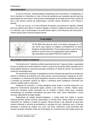 Parasitologia II
418
CICLO BIOLÓGICO
O ciclo de vida da E. histolytica/dispar é classificado como monoxênico e monogenético. A
forma infectante é o trofozoítos e o cisto, a forma de resistência que o parasito usa para fugir das
adversidades do meio externo, tanto durante a desidratação da formação do bolo fecal, quanto do
solo e dos demais veículos de disseminação, incluindo vetores mecânicos, como moscas e
baratas.
O cisto, por sua vez, é a forma infectante do parasito, que precisa ser ingerida e atacada
pelo suco gástrico para liberar no intestino delgado o metacisto, estágio de transição entre o cisto
e o trofozoíto, que é multinucleado e se divide dando origem a oito trofozoítos que colonizarão o
intestino grosso após inúmeras divisões binárias.
TÁ NA WEB!!!
TÁ NA WEB: Não deixe de visitar o link abaixo (acessado em: 27
mai. 2012), para explorar as imagens e principalmente os ciclos
biológicos ali disponibilizados. Procure pelo parasito a partir do seu
habitat no corpo humano e em seguida pela ordem alfabética.
http://www.dpd.cdc.gov/dpdx/HTML/Para_Health.htm
MECANISMOS FISIOPATOGÊNICOS
O trofozoítos da E. histolytica se difere essencialmente da E. dispar por deter a capacidade
de lisar os tecidos da mucosa intestinal e invadir o conjuntivo provocando lesões ulceradas com a
borda epitelial fechada e o conjuntivo escavado, lembrando um “botão de camisa”. No conjuntivo a
ameba faz hematofagia ativa.
Os mecanismos envolvidos na patogênese incluem moléculas da superfície da ameba que
aderem a membrana do enterócito e de outras células, inclusive leucócitos, inserção de um poro,
o amebaporo, na membrana da célula hospedeira, levando-a à lise osmótica (entrada de água) e
a secreção de proteases capazes de digerir a membrana basal (substância cimentante que
assenta o epitélio sobre o conjuntivo) 3
.
Chegando ao conjuntivo, a ameba patogênica pode invadir a corrente sanguínea e se
disseminar internamente alcançando fígado, pulmão e até mesmo o cérebro. Nestes casos,
formar-se-á abcessos, tecido necrosado rico em amebas e células mortas (pus), causando
sintomatologia da amebíase extrintestinal que pode incluir febre, dores localizadas e outros
sintomas, dependendo do órgão afetado.
Dependendo da relação parasito-hospedeiro, a ameba pode ficar restrita à mucosa
intestinal gerando apenas sintomas relacionados ao transito fecal: cólicas devido ao processo
inflamatório em resposta à invasão do parasito; diarreia devido à não absorção de água pelo
intestino inflamado e aumento do peristaltismo e secreção de muco; disenteria, que é a diarreia
associada à presença de sangue e/ou muco nas fezes; meteorismo (ruído provocado pelo
excesso de gazes intestinais vindos da fermentação de nutrientes tanto pela ameba quanto por
3
SANTOS; SOARES, 2008.
 