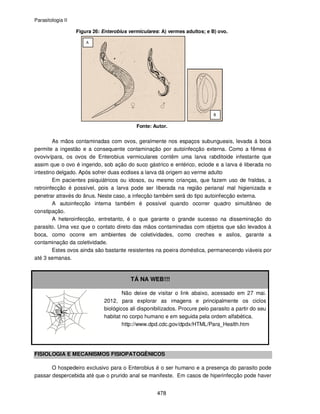 Parasitologia II
478
Figura 26: Enterobius vermiculares: A) vermes adultos; e B) ovo.
Fonte: Autor.
As mãos contaminadas com ovos, geralmente nos espaços subungueais, levada á boca
permite a ingestão e a consequente contaminação por autoinfecção externa. Como a fêmea é
ovovivípara, os ovos de Enterobius vermiculares contêm uma larva rabditoide infestante que
assim que o ovo é ingerido, sob ação do suco gástrico e entérico, eclode e a larva é liberada no
intestino delgado. Após sofrer duas ecdises a larva dá origem ao verme adulto
Em pacientes psiquiátricos ou idosos, ou mesmo crianças, que fazem uso de fraldas, a
retroinfecção é possível, pois a larva pode ser liberada na região perianal mal higienizada e
penetrar através do ânus. Neste caso, a infecção também será do tipo autoinfecção externa.
A autoinfecção interna também é possível quando ocorrer quadro simultâneo de
constipação.
A heteroinfecção, entretanto, é o que garante o grande sucesso na disseminação do
parasito. Uma vez que o contato direto das mãos contaminadas com objetos que são levados à
boca, como ocorre em ambientes de coletividades, como creches e asilos, garante a
contaminação da coletividade.
Estes ovos ainda são bastante resistentes na poeira doméstica, permanecendo viáveis por
até 3 semanas.
TÁ NA WEB!!!
Não deixe de visitar o link abaixo, acessado em 27 mai.
2012, para explorar as imagens e principalmente os ciclos
biológicos ali disponibilizados. Procure pelo parasito a partir do seu
habitat no corpo humano e em seguida pela ordem alfabética.
http://www.dpd.cdc.gov/dpdx/HTML/Para_Health.htm
FISIOLOGIA E MECANISMOS FISIOPATOGÊNICOS
O hospedeiro exclusivo para o Enterobius é o ser humano e a presença do parasito pode
passar despercebida até que o prurido anal se manifeste. Em casos de hiperinfecção pode haver
 