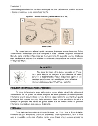 Parasitologia II
480
extremidade posterior estirada e o macho menor (2,5 cm) com a extremidade posterior recurvada
e dotada uma espícula penial recoberta por bainha.
Figura 27: Trichuris trichiura: A) vermes adultos; e B) ovo.
Fonte: Autor
Os vermes ficam com a boca inserida na mucosa do intestino e sugando sangue. Após o
acasalamento a fêmea libera ovos que saem junto às fezes. A fêmea é ovípara e os ovos são
liberados como embrião em fase inicial do desenvolvimento. Os ovos são escuros, dotados de
duas membranas e possuem dois tampões mucoides nas extremidades e são ovoides, medindo
50-55 µm por 22 µm.
TÁ NA WEB!!!
Não deixe de visitar o link abaixo, acessado em 27 mai.
2012, para explorar as imagens e principalmente os ciclos
biológicos ali disponibilizados. Procure pelo parasito a partir do seu
habitat no corpo humano e em seguida pela ordem alfabética.
http://www.dpd.cdc.gov/dpdx/HTML/Para_Health.htm
FISIOLOGIA E MECANISMOS FISIOPATOGÊNICOS
Por conta da hematofagia e das lesões que os vermes adultos vão abrindo, a tricurose é
acompanhada por um quadro de anemia ferropriva. As lesões provocam um intenso processo
inflamatório levando ao aumento da secreção de muco e do peristaltismo, acarretando um quadro
de diarreia. Em crianças, com alto índice parasitário, pode ocorrer parasitismo no reto e a
formação de prolapso retal devido ao grande edema que se formará devido ao processo
inflamatório desencadeado pela presença do parasito.
PROFILAXIA
Como toda geohelmintíase de contágio fecal-oral, tais como, filtrar a água de beber,
tratamento da água de consumo, lavar frutas e verduras a serem ingeridas cruas, lavar as mãos
após a evacuação e antes das refeições, manter unhas limpas e bem cortadas, proteger os
 