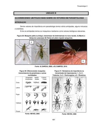 Parasitologia II
491
UNIDADE III
22.CONHECENDO UM POUCO MAIS SOBRE OS VETORES EM PARASITOLOGIA
INTRODUÇÃO
Dentre vetores de importância em parasitologia temos vários artrópodes, alguns moluscos
e anelídeos.
Entre os artrópodes temos os mosquitos e barbeiros como vetores biológicos relevantes.
Figura 29: Mosquito palha ou birigui, transmissor da leishmaniose no novo mundo. A) Macho e
fêmea de Lutzomyia; B) Fêmea em pleno repasto sanguíneo.
Fonte: A) GARCIA, 2008; e B) CAMPOS, 2010.
Figura 30: Diferenciando mosquitos
transmissores de parasitoses e outras
morbidades:
Fonte: NEVES, 2005
Figura 31: Hemípteros de importância na
transmissão de tripanossoma: 1, 3 e 4 -
Triatoma; 2 e 5 - Pantrongylus; e 6 - Rhodnius.
Fonte: NEVES, 2005
 