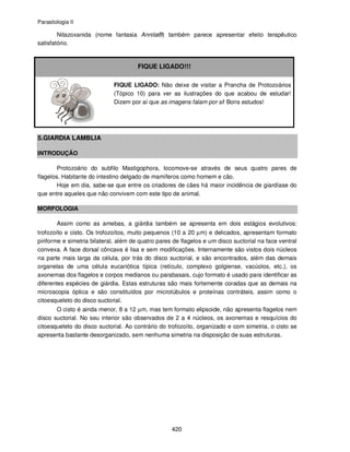 Parasitologia II
420
Nitazoxanida (nome fantasia Annita®) também parece apresentar efeito terapêutico
satisfatório.
FIQUE LIGADO!!!
FIQUE LIGADO: Não deixe de visitar a Prancha de Protozoários
(Tópico 10) para ver as ilustrações do que acabou de estudar!
Dizem por aí que as imagens falam por si! Bons estudos!
5.GIARDIA LAMBLIA
INTRODUÇÃO
Protozoário do subfilo Mastigophora, locomove-se através de seus quatro pares de
flagelos. Habitante do intestino delgado de mamíferos como homem e cão.
Hoje em dia, sabe-se que entre os criadores de cães há maior incidência de giardíase do
que entre aqueles que não convivem com este tipo de animal.
MORFOLOGIA
Assim como as amebas, a giárdia também se apresenta em dois estágios evolutivos:
trofozoíto e cisto. Os trofozoítos, muito pequenos (10 a 20 µm) e delicados, apresentam formato
piriforme e simetria bilateral, além de quatro pares de flagelos e um disco suctorial na face ventral
convexa. A face dorsal côncava é lisa e sem modificações. Internamente são vistos dois núcleos
na parte mais larga da célula, por trás do disco suctorial, e são encontrados, além das demais
organelas de uma célula eucariótica típica (retículo, complexo golgiense, vacúolos, etc.), os
axonemas dos flagelos e corpos medianos ou parabasais, cujo formato é usado para identificar as
diferentes espécies de giárdia. Estas estruturas são mais fortemente coradas que as demais na
microscopia óptica e são constituídos por microtúbulos e proteínas contráteis, assim como o
citoesqueleto do disco suctorial.
O cisto é ainda menor, 8 a 12 µm, mas tem formato elipsoide, não apresenta flagelos nem
disco suctorial. No seu interior são observados de 2 a 4 núcleos, os axonemas e resquícios do
citoesqueleto do disco suctorial. Ao contrário do trofozoíto, organizado e com simetria, o cisto se
apresenta bastante desorganizado, sem nenhuma simetria na disposição de suas estruturas.
 