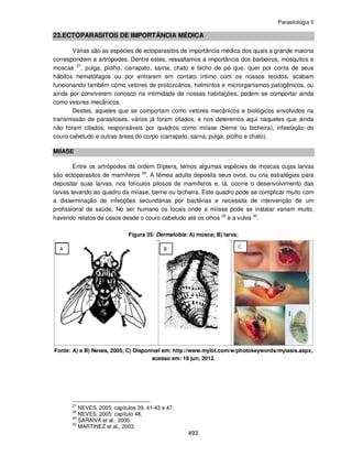 Parasitologia II
493
23.ECTOPARASITOS DE IMPORTÂNCIA MÉDICA
Várias são as espécies de ectoparasitos de importância médica dos quais a grande maioria
correspondem a artrópodes. Dentre estes, ressaltamos a importância dos barbeiros, mosquitos e
moscas 27
, pulga, piolho, carrapato, sarna, chato e bicho de pé que, quer por conta de seus
hábitos hematófagos ou por entrarem em contato íntimo com os nossos tecidos, acabam
funcionando também como vetores de protozoários, helmintos e microrganismos patogênicos, ou
ainda por conviverem conosco na intimidade de nossas habitações, podem se comportar ainda
como vetores mecânicos.
Destes, aqueles que se comportam como vetores mecânicos e biológicos envolvidos na
transmissão de parasitoses, vários já foram citados, e nos deteremos aqui naqueles que ainda
não foram citados, responsáveis por quadros como miíase (berne ou bicheira), infestação do
couro cabeludo e outras áreas do corpo (carrapato, sarna, pulga, piolho e chato).
MIÍASE
Entre os artrópodes da ordem Díptera, temos algumas espécies de moscas cujas larvas
são ectoparasitos de mamíferos 28
. A fêmea adulta deposita seus ovos, ou cria estratégias para
depositar suas larvas, nos folículos pilosos de mamíferos e, lá, ocorre o desenvolvimento das
larvas levando ao quadro da miíase, berne ou bicheira. Este quadro pode se complicar muito com
a disseminação de infecções secundárias por bactérias e necessita de intervenção de um
profissional de saúde. No ser humano os locais onde a miíase pode se instalar variam muito,
havendo relatos de casos desde o couro cabeludo até os olhos 29
e a vulva 30
.
Figura 35: Dermatobia: A) mosca; B) larva;
Fonte: A) e B) Neves, 2005; C) Disponível em: http://www.mylot.com/w/photokeywords/myiasis.aspx,
acesso em: 18 jun, 2012.
27
NEVES, 2005: capítulos 39, 41-43 e 47.
28
NEVES, 2005: capítulo 48.
29
SARAIVA et al.. 2005.
30
MARTINEZ et al., 2003.
 