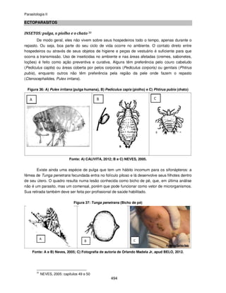 Parasitologia II
494
ECTOPARASITOS
INSETOS: pulga, o piolho e o chato 31
De modo geral, eles não vivem sobre seus hospedeiros todo o tempo, apenas durante o
repasto. Ou seja, boa parte do seu ciclo de vida ocorre no ambiente. O contato direto entre
hospedeiros ou através de seus objetos de higiene e peças de vestuário é suficiente para que
ocorra a transmissão. Uso de inseticidas no ambiente e nas áreas afetadas (cremes, sabonetes,
loções) é feito como ação preventiva e curativa. Alguns têm preferência pelo couro cabeludo
(Pediculus captis) ou áreas coberta por pelos corporais (Pediculus corporis) ou genitais (Phtirus
pubis), enquanto outros não têm preferência pela região da pele onde fazem o repasto
(Ctenocephalides, Pulex irritans).
Figura 36: A) Pulex irritans (pulga humana), B) Pediculus capis (piolho) e C) Phtirus pubis (chato)
Fonte: A) CALIVITA, 2012; B e C) NEVES, 2005.
Existe ainda uma espécie de pulga que tem um hábito incomum para os sifonápteros: a
fêmea de Tunga penetrans fecundada entra no folículo piloso e lá desenvolve seus filhotes dentro
de seu útero. O quadro resulta numa lesão conhecida como bicho de pé, que, em última análise
não é um parasito, mas um comensal, porém que pode funcionar como vetor de microrganismos.
Sua retirada também deve ser feita por profissional de saúde habilitado.
Figura 37: Tunga penetrans (Bicho de pé)
Fonte: A e B) Neves, 2005; C) Fotografia de autoria de Orlando Madela Jr, apud BELO, 2012.
31
NEVES, 2005: capítulos 49 e 50
 