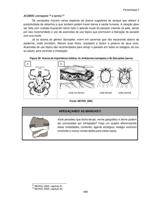 Parasitologia II
495
ACAROS: carrapato 32 e sarna 33
Os carrapatos incluem várias espécies de ácaros sugadores de sangue que afetam a
produtividade de rebanhos e que também podem trazer danos à saúde humana. A catação deve
ser feita com cuidado buscando retirar todo o aparato bucal do parasito inserido na pele, sendo
por isso recomendado o uso de acaricidas de uso tópico que promovam a liberação do parasito
com sua morte.
Já os ácaros do gênero Sarcoptes, vivem em cavernas que vão escavando abaixo da
epiderme, onde excretam, liberam suas fezes, acasalam e fazem a postura de seus ovos.
Acaricidas de uso tópico são recomendados para atingir o parasito em todos os estágios, do ovo
ao adulto, para controlar a infestação.
Figura 38: Ácaros de importância médica: A) Amblyoma (carrapato) e B) Sarcoptes (sarna)
Fonte: NEVES, 2005.
AREGAÇANDO AS MANGAS!!!
Você percebeu que bicho-de-pé, verme geográfico e berne podem
ser provocadas por artrópodes? Faça um quadro diferenciando
estas morbidades, contendo: agente etiológico, estágio evolutivo
envolvido e outros nomes dados para estes casos.
32
NEVES, 2005: capítulo 51.
33
NEVES, 2005: capítulo 52.
 