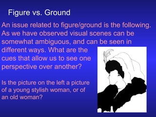 Figure vs. Ground
An issue related to figure/ground is the following.
As we have observed visual scenes can be
somewhat am...
