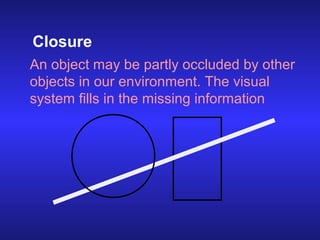 Closure
An object may be partly occluded by other
objects in our environment. The visual
system fills in the missing infor...