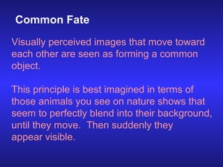 Common Fate
Visually perceived images that move toward
each other are seen as forming a common
object.
This principle is b...