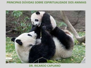 PRINCIPAIS DÚVIDAS SOBRE ESPIRITUALIDADE DOS ANIMAIS
DR. RICARDO CAPUANO
 