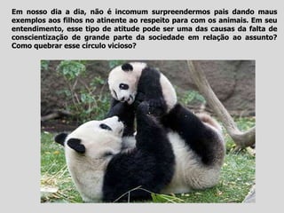 Em nosso dia a dia, não é incomum surpreendermos pais dando maus
exemplos aos filhos no atinente ao respeito para com os animais. Em seu
entendimento, esse tipo de atitude pode ser uma das causas da falta de
conscientização de grande parte da sociedade em relação ao assunto?
Como quebrar esse círculo vicioso?
 