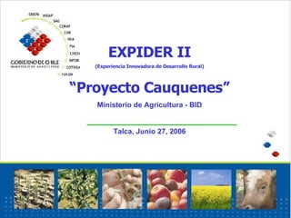 EXPIDER II (Experiencia Innovadora de Desarrollo Rural) “ Proyecto Cauquenes” Ministerio de Agricultura - BID Talca, Junio 27, 2006 