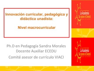 Innovación curricular, pedagógica y
        didáctica unadista:

      Nivel macrocurricular




Ph.D en Pedagogía Sandra Morales
     Docente Auxiliar ECEDU
 Comité asesor de currículo VIACI
 