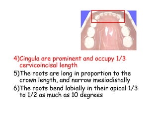 8- PRIMARY DENTITION biomaterials for BTE.pptx