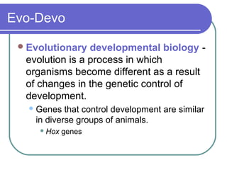 Evo-Devo

  Evolutionary  developmental biology -
  evolution is a process in which
  organisms become different as a result
  of changes in the genetic control of
  development.
    Genes  that control development are similar
    in diverse groups of animals.
      Hox   genes
 