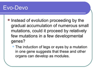 Evo-Devo

  Insteadof evolution proceeding by the
  gradual accumulation of numerous small
  mutations, could it proceed by relatively
  few mutations in a few developmental
  genes?
    The induction of legs or eyes by a mutation
    in one gene suggests that these and other
    organs can develop as modules.
 