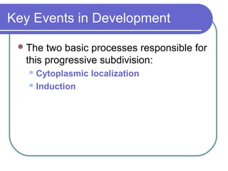 Key Events in Development

  The two basic processes responsible for
  this progressive subdivision:
    Cytoplasmic   localization
    Induction
 