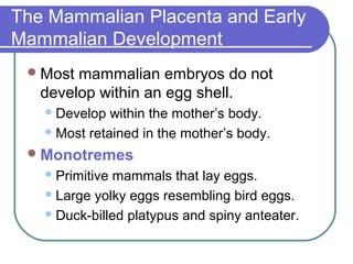 The Mammalian Placenta and Early
Mammalian Development
  Most mammalian embryos do not
   develop within an egg shell.
    Develop  within the mother’s body.
    Most retained in the mother’s body.

  Monotremes
    Primitive mammals that lay eggs.
    Large yolky eggs resembling bird eggs.

    Duck-billed platypus and spiny anteater.
 