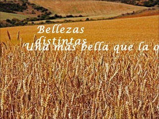Bellezas
distintas
Una más bella que la o

 