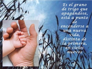 Es el grano
de trigo que
apagándose,
está a punto
de
encenderse a
una nueva
vida,
distinta de
la primera,
en cielos
nuevos

 