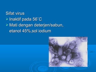 SSiiffaatt vviirruuss 
 IInnaakkttiiff ppaaddaa 5566˚CC 
MMaattii ddeennggaann ddeetteerrjjeenn//ssaabbuunn,, 
eettaannooll 4455%%,,ssooll iiooddiiuumm 
 