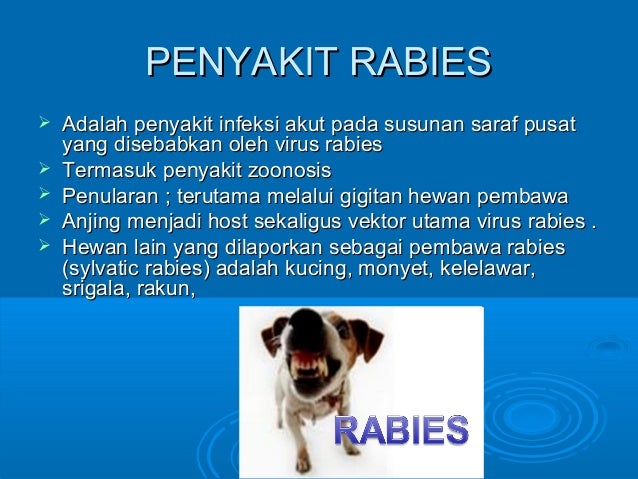 penyakit rabies