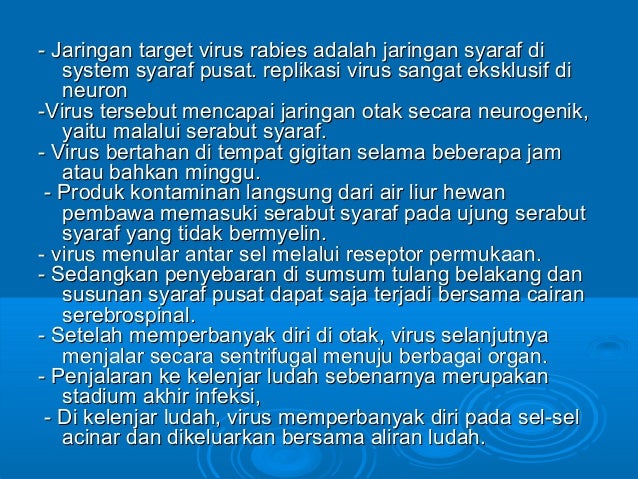 penyakit rabies