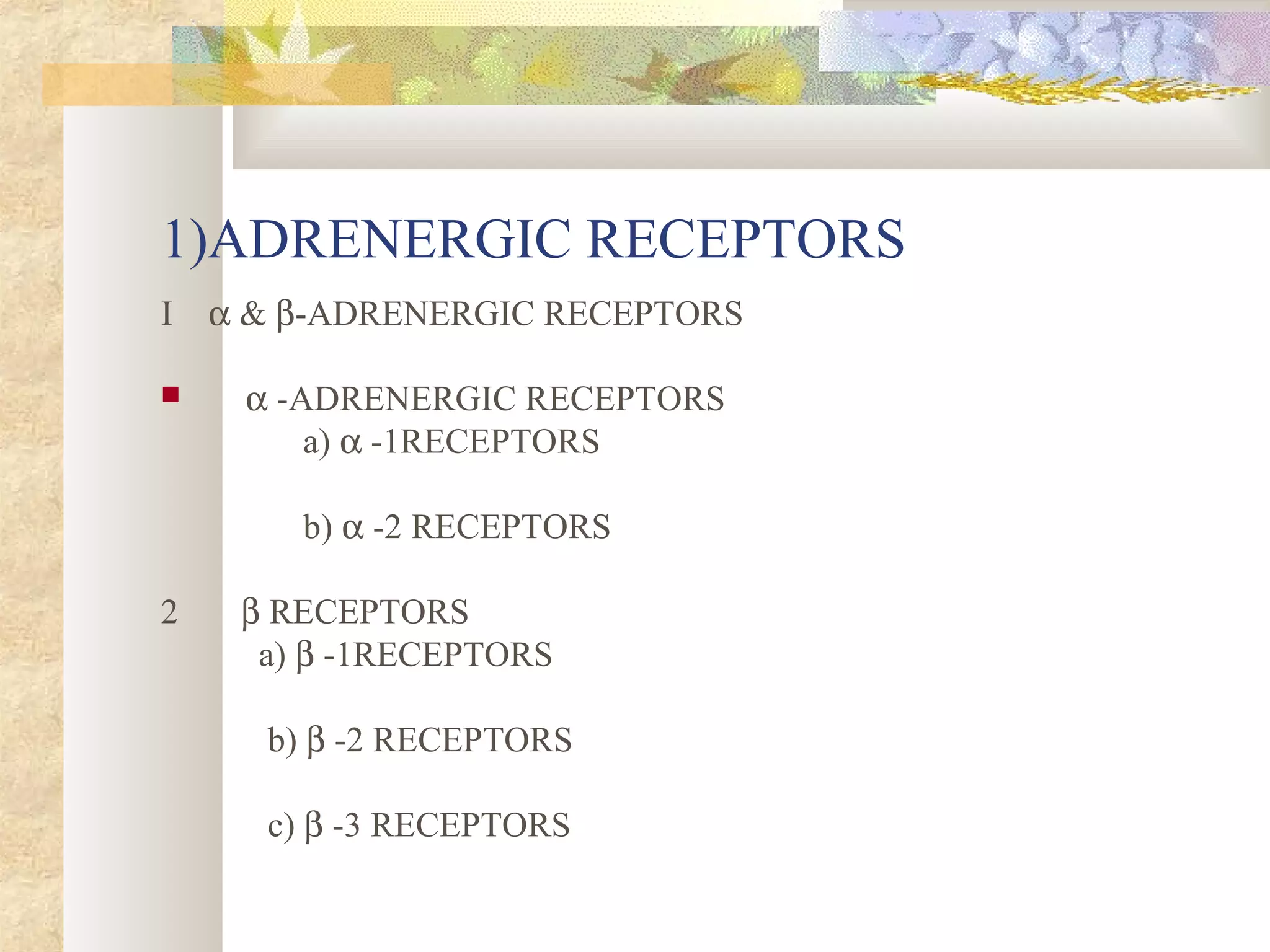 1)ADRENERGIC RECEPTORS
I α & β-ADRENERGIC RECEPTORS
 α -ADRENERGIC RECEPTORS
a) α -1RECEPTORS
b) α -2 RECEPTORS
2 β RECEPTORS
a) β -1RECEPTORS
b) β -2 RECEPTORS
c) β -3 RECEPTORS
 