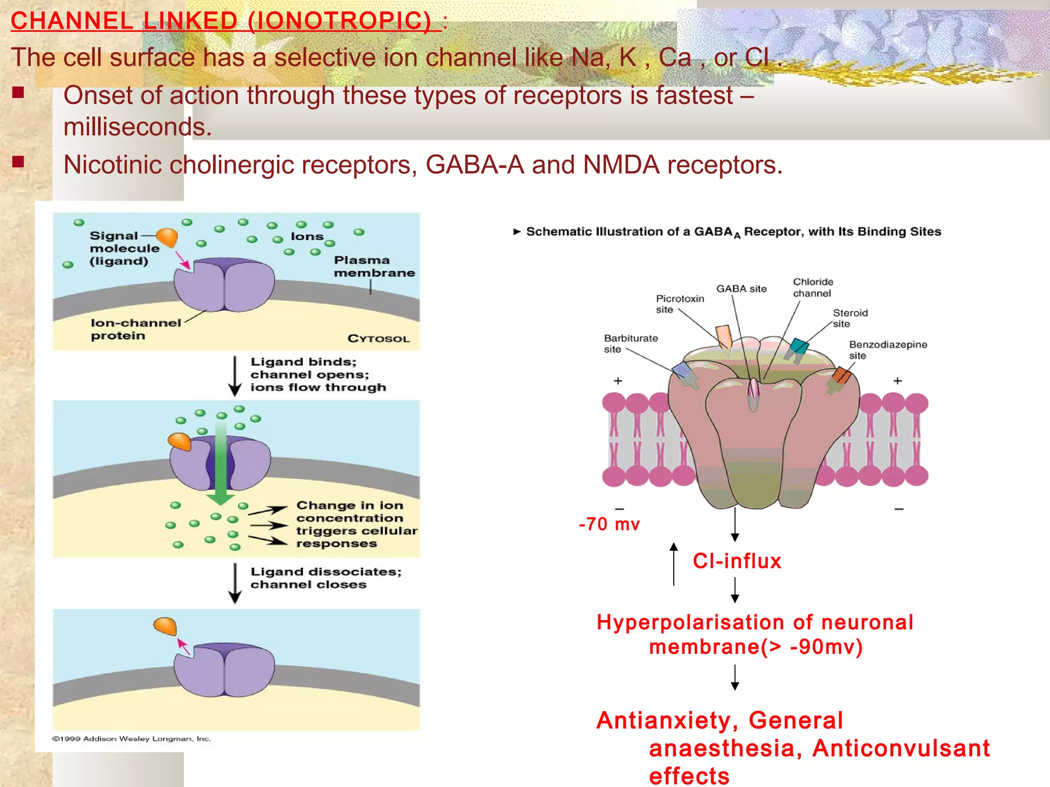 CHANNEL LINKED (IONOTROPIC) :
The cell surface has a selective ion channel like Na, K , Ca , or Cl .
 Onset of action through these types of receptors is fastest –
milliseconds.
 Nicotinic cholinergic receptors, GABA-A and NMDA receptors.
Cl-influx
Hyperpolarisation of neuronal
membrane(> -90mv)
-70 mv
Antianxiety, General
anaesthesia, Anticonvulsant
effects
 