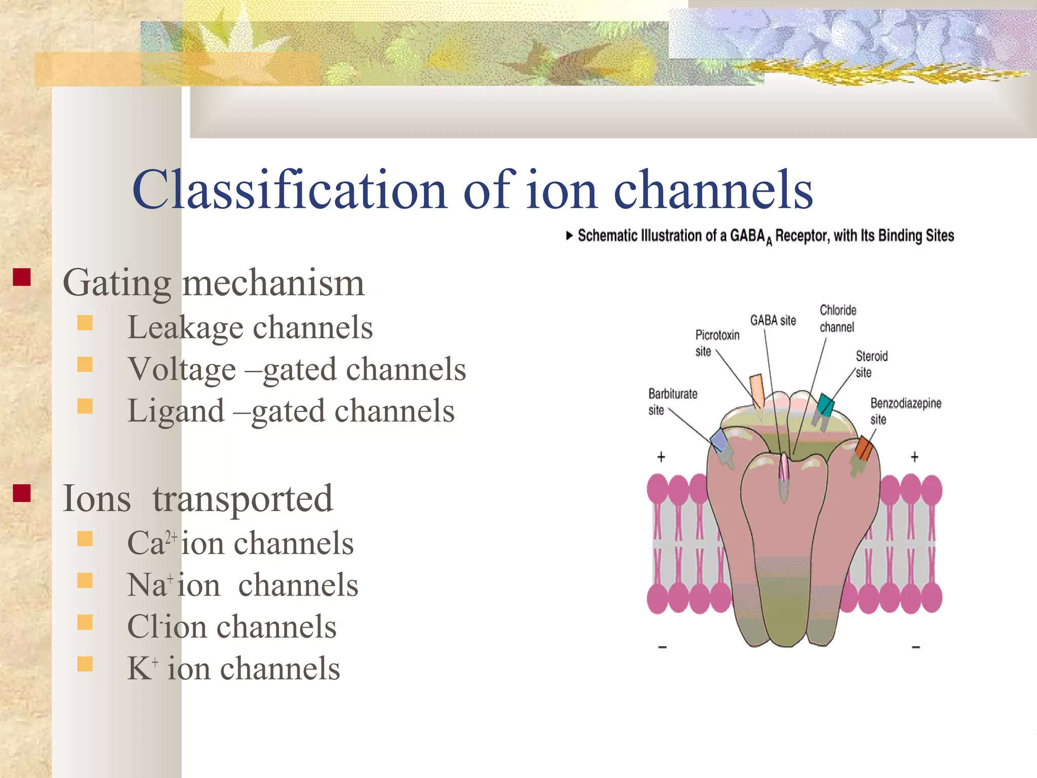 Classification of ion channels
 Gating mechanism
 Leakage channels
 Voltage –gated channels
 Ligand –gated channels
 Ions transported
 Ca2+
ion channels
 Na+
ion channels
 Cl-
ion channels
 K+
ion channels
 
