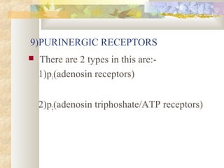 9)PURINERGIC RECEPTORS
 There are 2 types in this are:-
1)p1(adenosin receptors)
2)p2(adenosin triphoshate/ATP receptors)
 