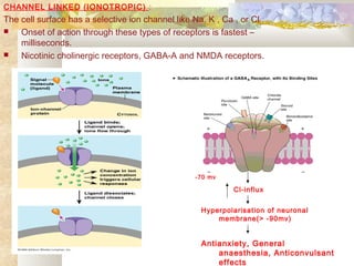 CHANNEL LINKED (IONOTROPIC) :
The cell surface has a selective ion channel like Na, K , Ca , or Cl .
 Onset of action through these types of receptors is fastest –
milliseconds.
 Nicotinic cholinergic receptors, GABA-A and NMDA receptors.
Cl-influx
Hyperpolarisation of neuronal
membrane(> -90mv)
-70 mv
Antianxiety, General
anaesthesia, Anticonvulsant
effects
 