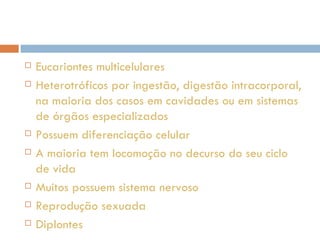 Eucariontes multicelulares Heterotróficos por ingestão, digestão intracorporal, na maioria dos casos em cavidades ou em sistemas de órgãos especializados Possuem diferenciação celular A maioria tem locomoção no decurso do seu ciclo de vida Muitos possuem sistema nervoso Reprodução sexuada Diplontes 