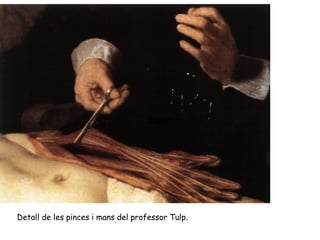 Suport




Detall de les pinces i mans del professor Tulp.
 