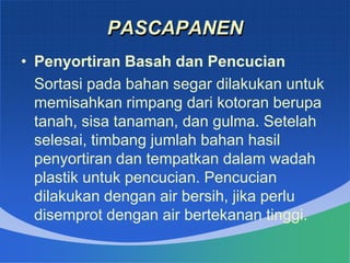 8 rempah-rempah dan bahan obat | PPTX