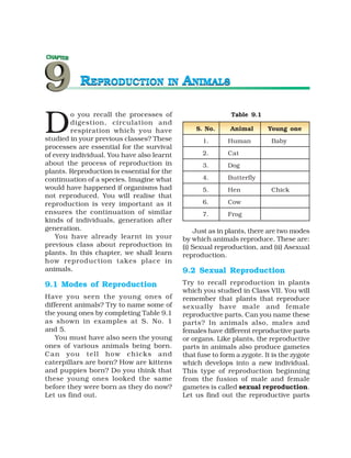 REPRODUCTION                IN   ANIMALS


D
         o you recall the processes of                      Table 9.1
         digestion, circulation and
         respiration which you have             S. No.      Animal       Young one
studied in your previous classes? These           1.       Human          Baby
processes are essential for the survival
of every individual. You have also learnt         2.       Cat
about the process of reproduction in              3.       Dog
plants. Reproduction is essential for the
continuation of a species. Imagine what           4.       Butterfly
would have happened if organisms had              5.       Hen            Chick
not reproduced. You will realise that
reproduction is very important as it              6.       Cow
ensures the continuation of similar               7.       Frog
kinds of individuals, generation after
generation.                                      Just as in plants, there are two modes
    You have already learnt in your         by which animals reproduce. These are:
previous class about reproduction in        (i) Sexual reproduction, and (ii) Asexual
plants. In this chapter, we shall learn     reproduction.
how reproduction takes place in
animals.                                    9.2 Sexual Reproduction
9.1 Modes of Reproduction                   Try to recall reproduction in plants
                                            which you studied in Class VII. You will
Have you seen the young ones of             remember that plants that reproduce
different animals? Try to name some of      sexually have male and female
the young ones by completing Table 9.1      reproductive parts. Can you name these
as shown in examples at S. No. 1            parts? In animals also, males and
and 5.                                      females have different reproductive parts
    You must have also seen the young       or organs. Like plants, the reproductive
ones of various animals being born.         parts in animals also produce gametes
Can you tell how chicks and                 that fuse to form a zygote. It is the zygote
caterpillars are born? How are kittens      which develops into a new individual.
and puppies born? Do you think that         This type of reproduction beginning
these young ones looked the same            from the fusion of male and female
before they were born as they do now?       gametes is called sexual reproduction.
Let us find out.                            Let us find out the reproductive parts
 
