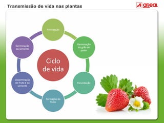 Transmissão de vida nas plantas
 