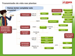 Transmissão de vida nas plantas
REPRODUÇÃO
SEXUADA NAS
PLANTAS COM
FLOR
pode ser
feita por
engloba
Polinização
origina
Constituído
por
Embrião
Aves
Tubo polínico
Tegumento
Mamíferos
Vento
Insetos
Cotilédone(s)
Fecundação
Vamos tentar completar este
esquema! Disseminação
Germinação
da semente
origina constituída
pelo
Semente
Pericarpo
Água
Animais
Autodisseminação
Ventopode ser
feita por
Internos
Depende de
fatores Oxigénio
Água
Temperatura
como
Externos
Formação
do fruto
Germinação
do pólen
 