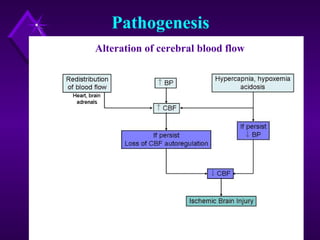 Pathophysiology For Rds Respiratory Distress Syndrome (Rds) | PPT