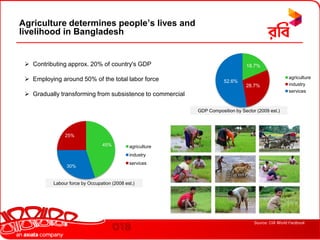 Border length: 4,246 km