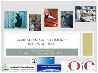 SANIDAD ANIMAL Y COMERCIO
INTERNACIONAL
Rodrigo Robles G.
Santiago, 28 de mayo del 2013.

 
