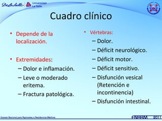 Cuadro clínico
• Depende de la             • Vértebras:
  localización.                – Dolor.
                               – Déficit neurológico.
• Extremidades:                – Déficit motor.
   – Dolor e inflamación.      – Déficit sensitivo.
   – Leve o moderado           – Disfunción vesical
     eritema.                    (Retención e
   – Fractura patológica.        incontinencia)
                               – Disfunción intestinal.
 