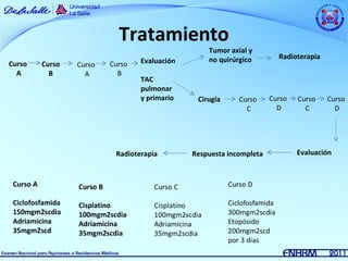 Tratamiento
                                                     Tumor axial y
                                                     no quirúrgico      Radioterapia
Curso      Curso                    Evaluación
  A          B
                                    TAC
                                    pulmonar
                                    y primario    Cirugía




                             Radioterapia        Respuesta incompleta        Evaluación



 Curso A           Curso B

 Ciclofosfamida    Cisplatino
 150mgm2scdia      100mgm2scdia
 Adriamicina       Adriamicina
 35mgm2scd         35mgm2scdia
 