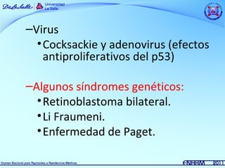 –Virus
  • Cocksackie y adenovirus (efectos
    antiproliferativos del p53)

–Algunos síndromes genéticos:
  • Retinoblastoma bilateral.
  • Li Fraumeni.
  • Enfermedad de Paget.
 
