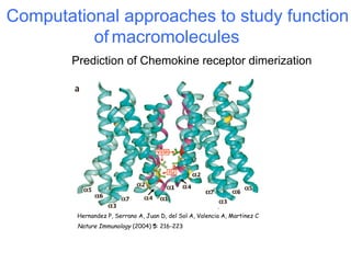 Computational approaches to study function
          of macromolecules
        Prediction of Chemokine receptor dimerization




         Hernandez P, Serrano A, Juan D, del Sol A, Valencia A, Martinez C
         Nature Immunology (2004) 5: 216-223
 