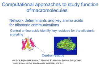 Computational approaches to study function
          of macromolecules
   Network determinants and key amino acids
   for allosteric communications
   Central amino acids identify key residues for the allosteric
   signaling




                                     Central residue
    del Sol A, Fujihashi H, Amoros D, Nussinov R, Molecular Systems Biology 2006,
    Tsai C, Antonio del Sol, Ruth Nussinov JMB 2008, 378: 1-11
 