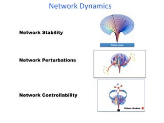 Network!Dynamics!!
                          !


Network Stability

                              Stable!state!




Network Perturbations




Network Controllability

                                              Driver Nodes
 