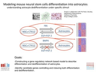 Modeling!mouse!neural!stem!cells!diﬀeren6a6on!into!astrocytes:!
  understanding!astrocyte!dediﬀeren6a6on!under!speciﬁc!s6muli!
                                                               Project in collaboration with Prof Noel J Buckley
                                                               Department of Neuroscience
                                                               Institute of Psychiatry
                                                               King’s College London




                                         FBS!

                  NSCs!CTX12!                            Astrocytes!
                                      EGF+FGF?2!

                                       BMP4!

                  NSCs!CTX12!                            Astrocytes!
                                      EGF+FGF?2!

         Goals:
         -Constructing a gene regulatory network based model to describe
         differentiation and dedifferentiation of astrocytes.
         -Identify candidate genes controlling and inducing both differentiation                        15
         and dedifferentiation.
 