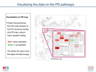 Visualizing the data on the PD pathways


Visualization on PD map:


•  Project transcriptomes
 from the meta analysis of
 the PD microarray studies
 onto PD map, using a
 colour gradient coding:


 Red = down-regulated
 Green = up-regulated


 The darker the colour tone,
 the higher the fold change.

                                      PD pathway map




      Monday, March 12, 2012     34
 