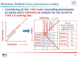 Structure Analysis (Gene prioritization studies)
   •  Considering all the 1165 nodes (excluding phenotypes)
      as inputs and 6 hallmarks as outputs we can arrive at
      1165 x 6 ranking sets
                                          Hallmarks




                                             Alpha-synuclein


                                                               Mitochondrial
                                               aggregation


                                                                dysfunction
                                                                                          For Ex1
                                                                                    (Given caspase-6 –




                                                                               .
                                                                                      Alpha synuclein
                          Nodes                                                      aggregation pair)
Input Nodes




                                  caspase-6 Ex1                Ex1109          .   BAD:BCL-2     ESP

                                  BAD:BCL-2 Ex2                Ex1110          .   tBID:BCL-2    ESP
                                  tBID:BCL-2 Ex3               Ex1111          .   caspase-3     ESP
                                  caspase-3 Ex4                Ex1112          .
              Hallmarks           NNT dimer Ex5                Ex1113          .
                                                                                   NNT dimer     ESP

                                      .            .                .          .       .          .



                                                                                                       42
 