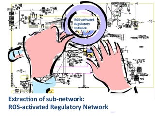 ROSLac2vated!
                     Regulatory!
                     Network!!




Extrac2on!of!subLnetwork:!!
ROSLac2vated!Regulatory!Network!!
 